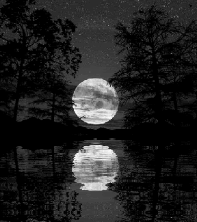 reflected moon